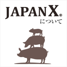 JAPAN Xについて