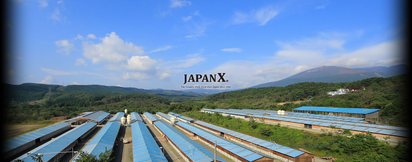 JAPAN X｜東北から世界へ日本ブランドのうまい豚 since 1969